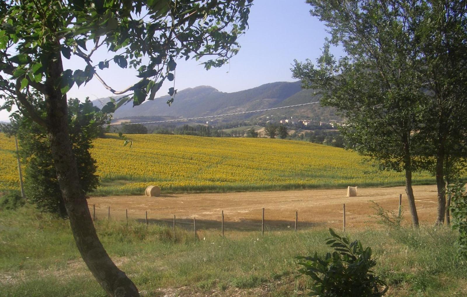 Pascolo Costacciaro
